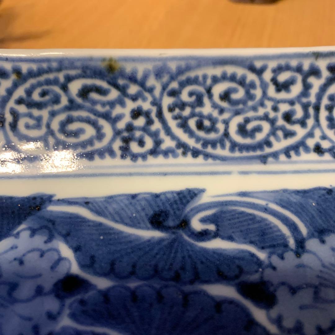 蛸唐草　牡丹　長皿　二枚