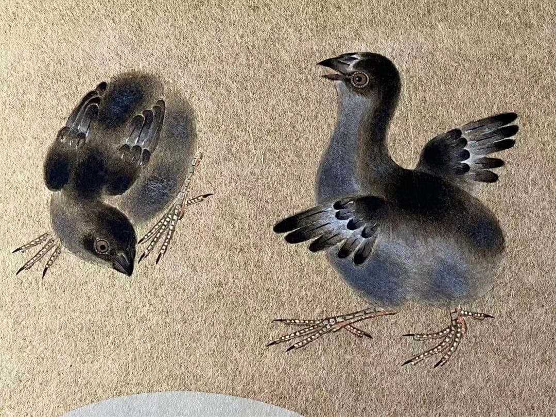 吉因澄舟筆　？ (雀)三枚　古い復製画？