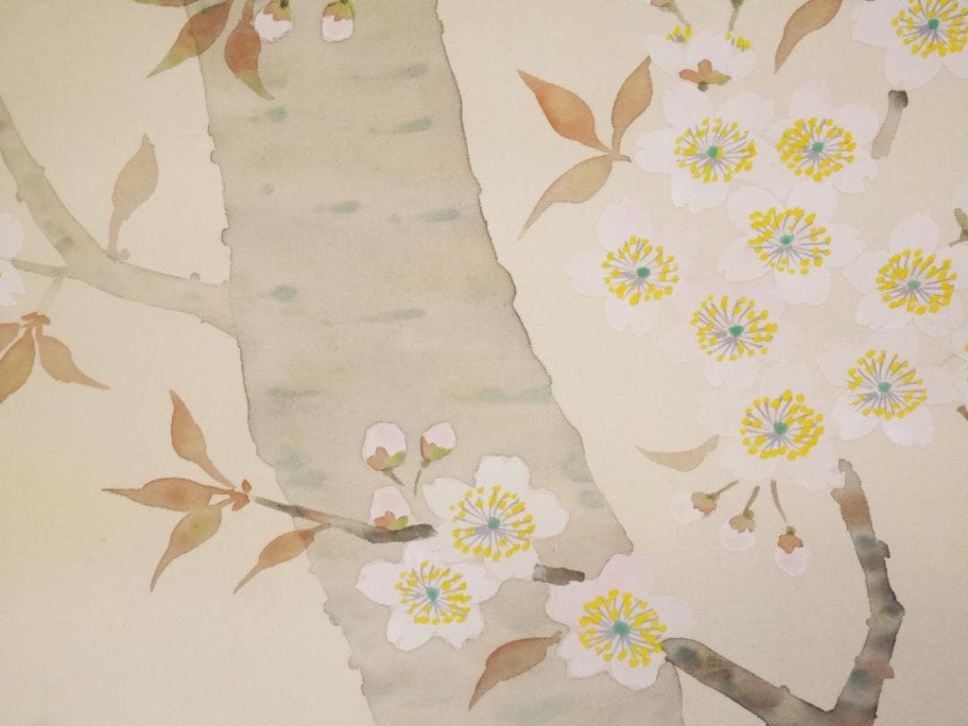【良品】春用掛軸　桜　さくら◆絹本　肉筆　共箱付　日本画　美術品　花鳥　掛軸