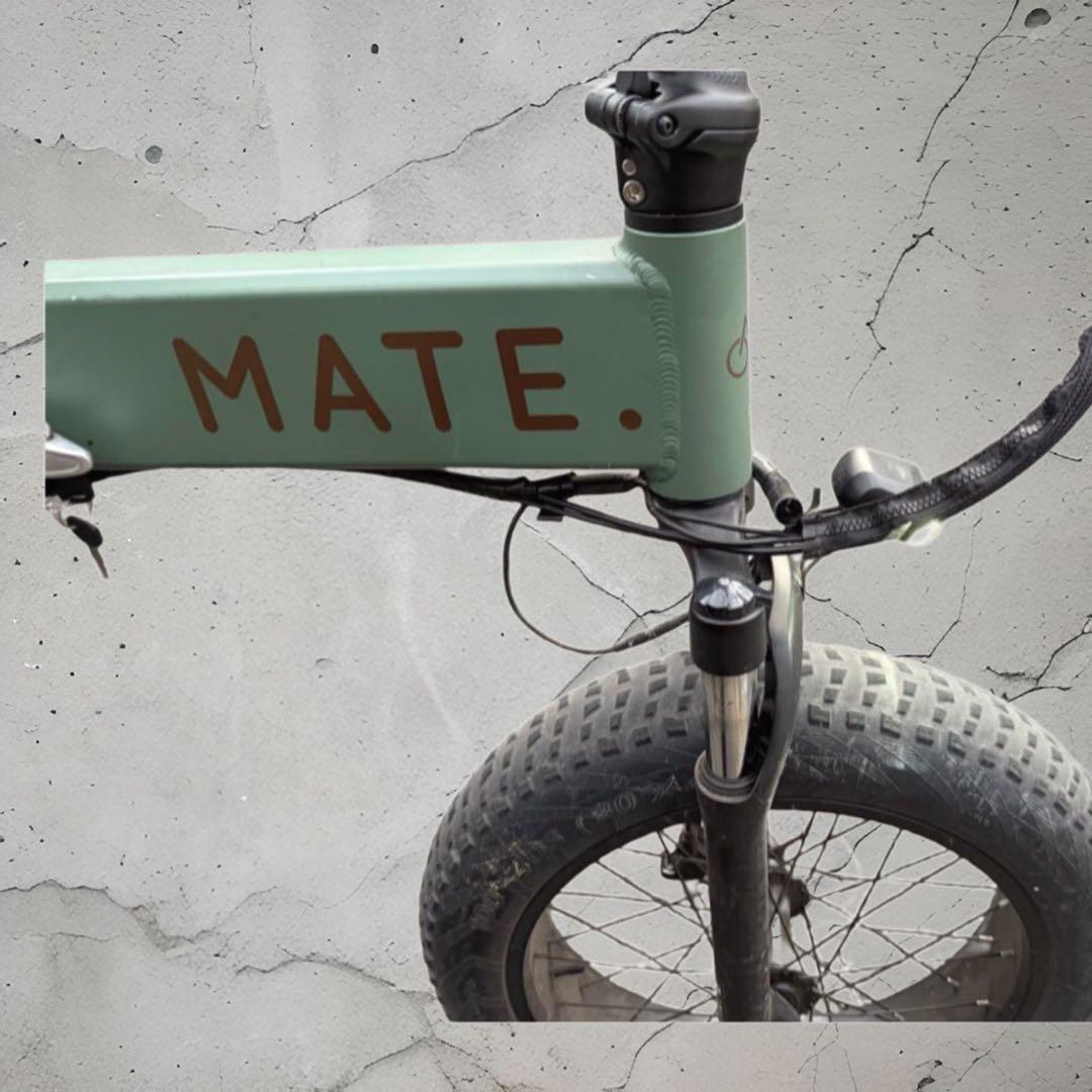 MATE X 250 メイトバイク 美品 グリーン キャリア付20インチ