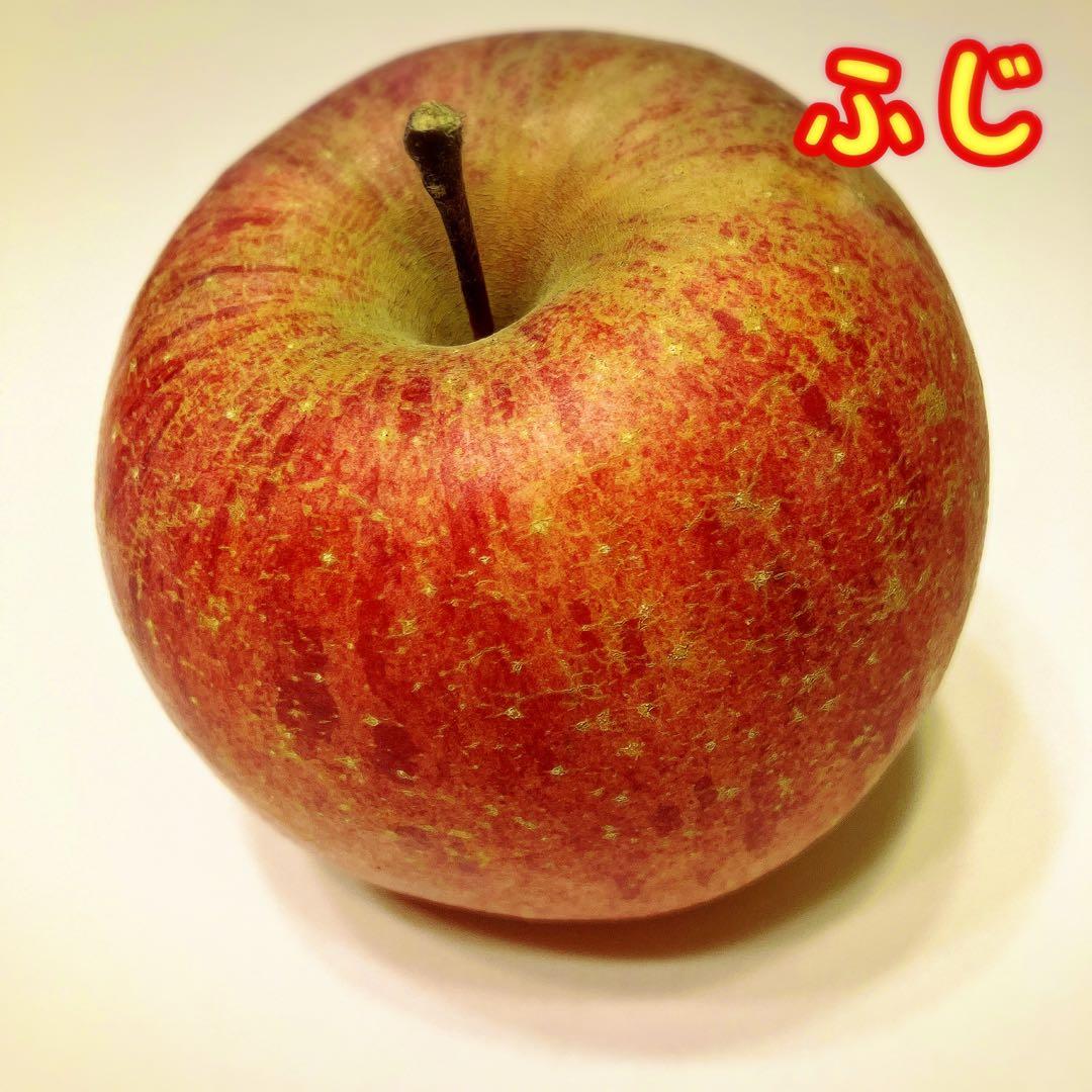 【12袋セット】ふじ　フジ　ドライフルーツ　りんご　乾燥りんご　りんごチップス