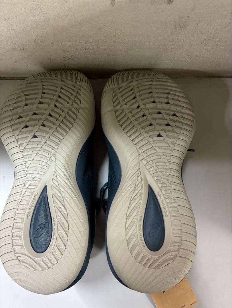 NOVA SURGE LOW 2 300カラー　24.0㎝