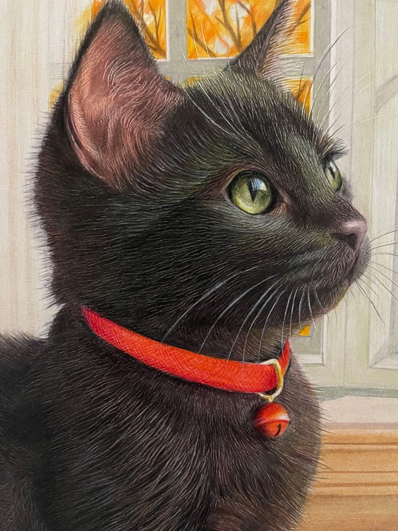 色鉛筆画.A4.黒猫.53