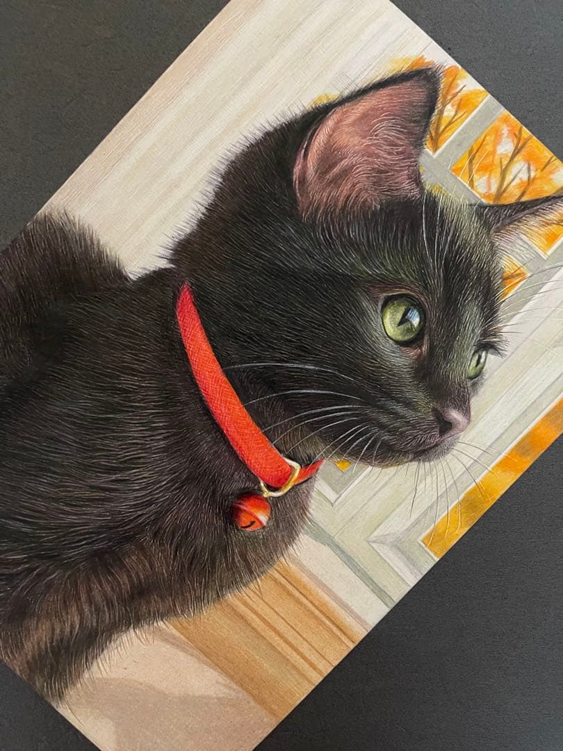 色鉛筆画.A4.黒猫.53