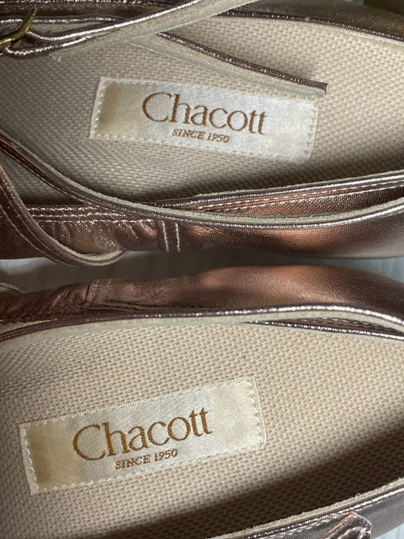 Chacott 社交ダンスシューズ 24.0cm