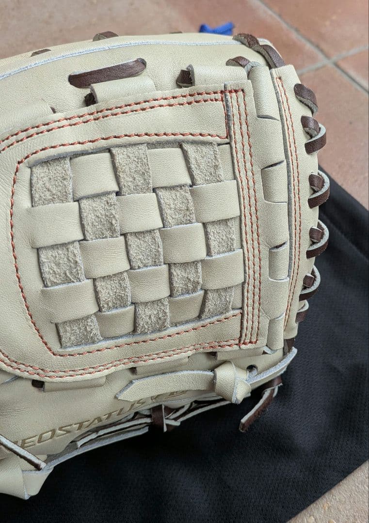 新品 ゼット 硬式グローブ ネオステイタスVL源田タイプ BPGP12420N