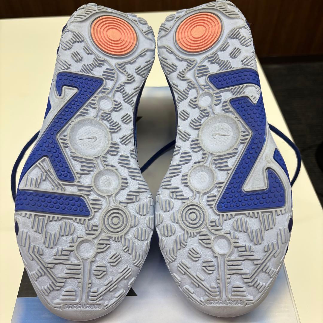 【限定カラー】Nike PG6 26cm バスケットシューズ