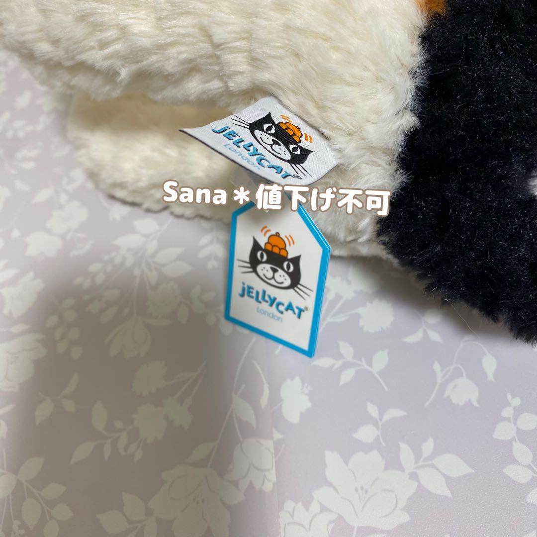 新品　 Hector Fox Terrier 犬　テリア　dog