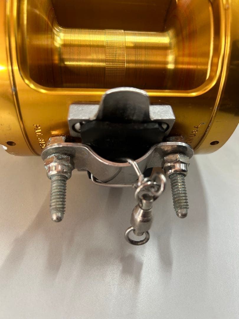 リール Penn Reels International II 30TW