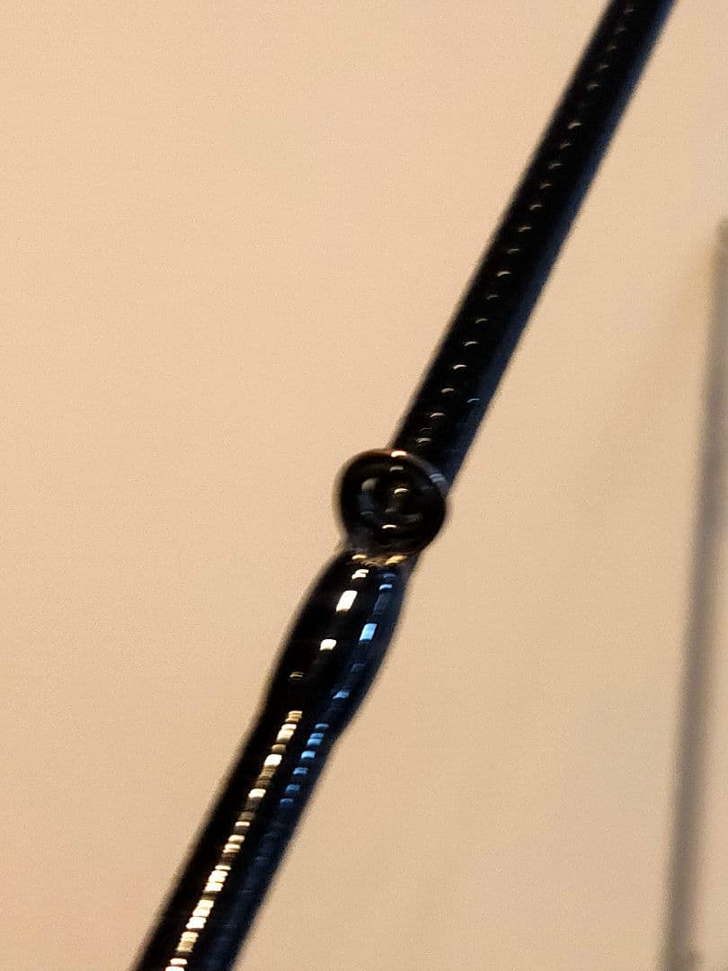 BLACK LION 75M Tip ホワイトバージョン ティップラン TR