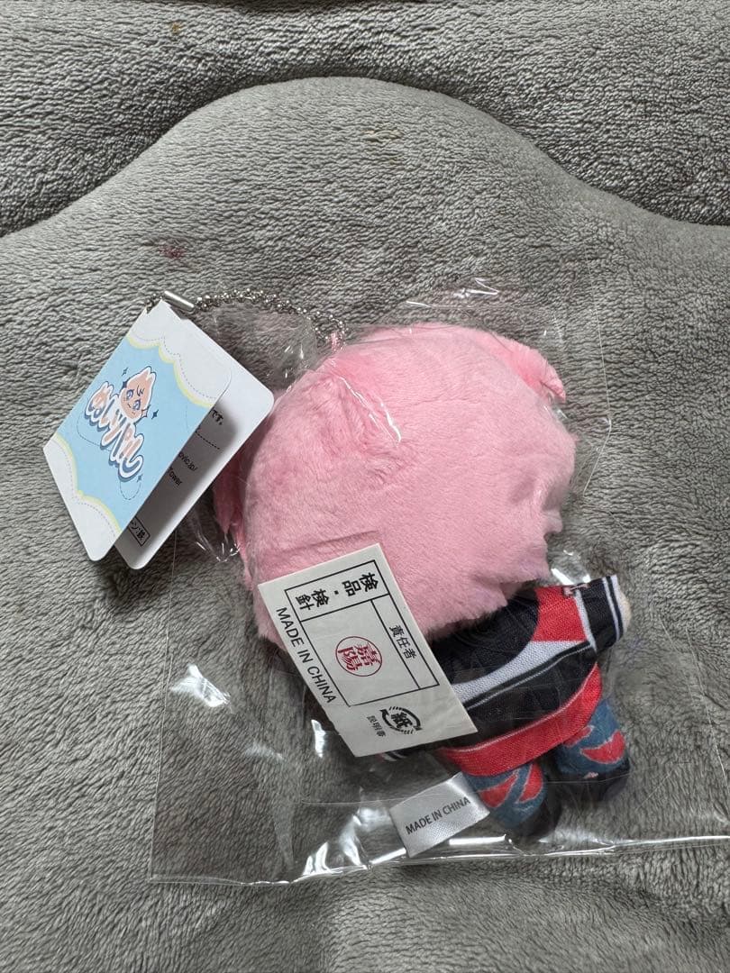 多聞くん今どっち！？ ぬいパル 福原多聞