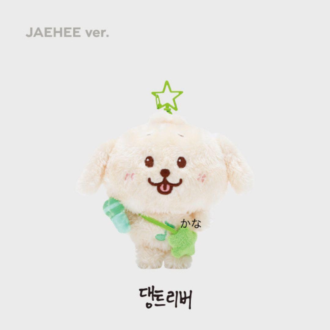 NCT WISH WISHDOLL ジェヒ デントリバー ぬいぐるみ キーリング