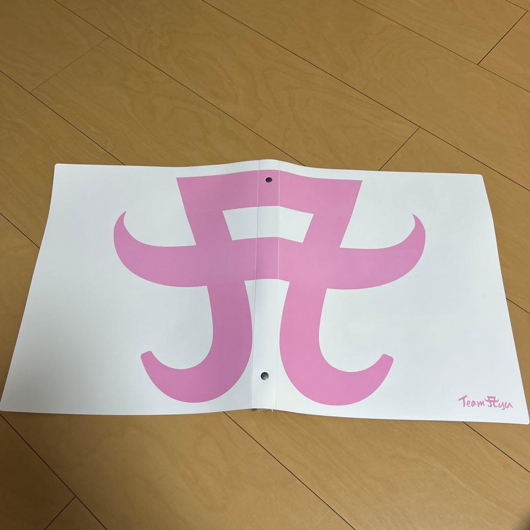 【即購入ok!!】浜崎あゆみ Team Ayu トレカ クリアファイル付