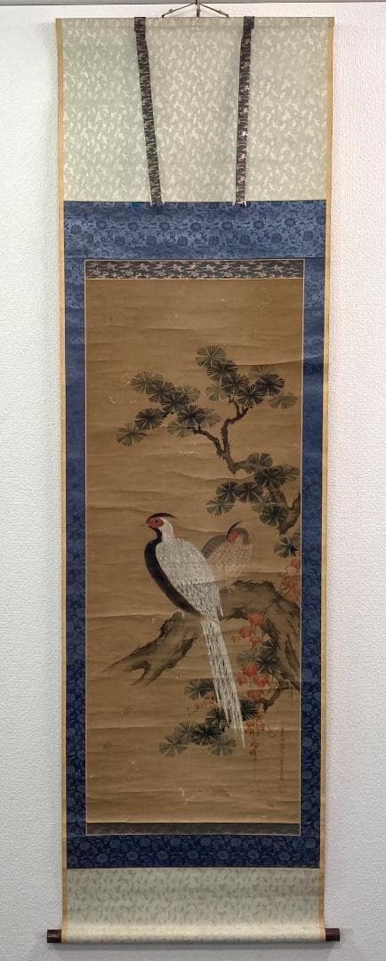 土佐光貞／土佐光芳の息子「雉」花鳥画 掛軸 紙本：江戸時代中期
