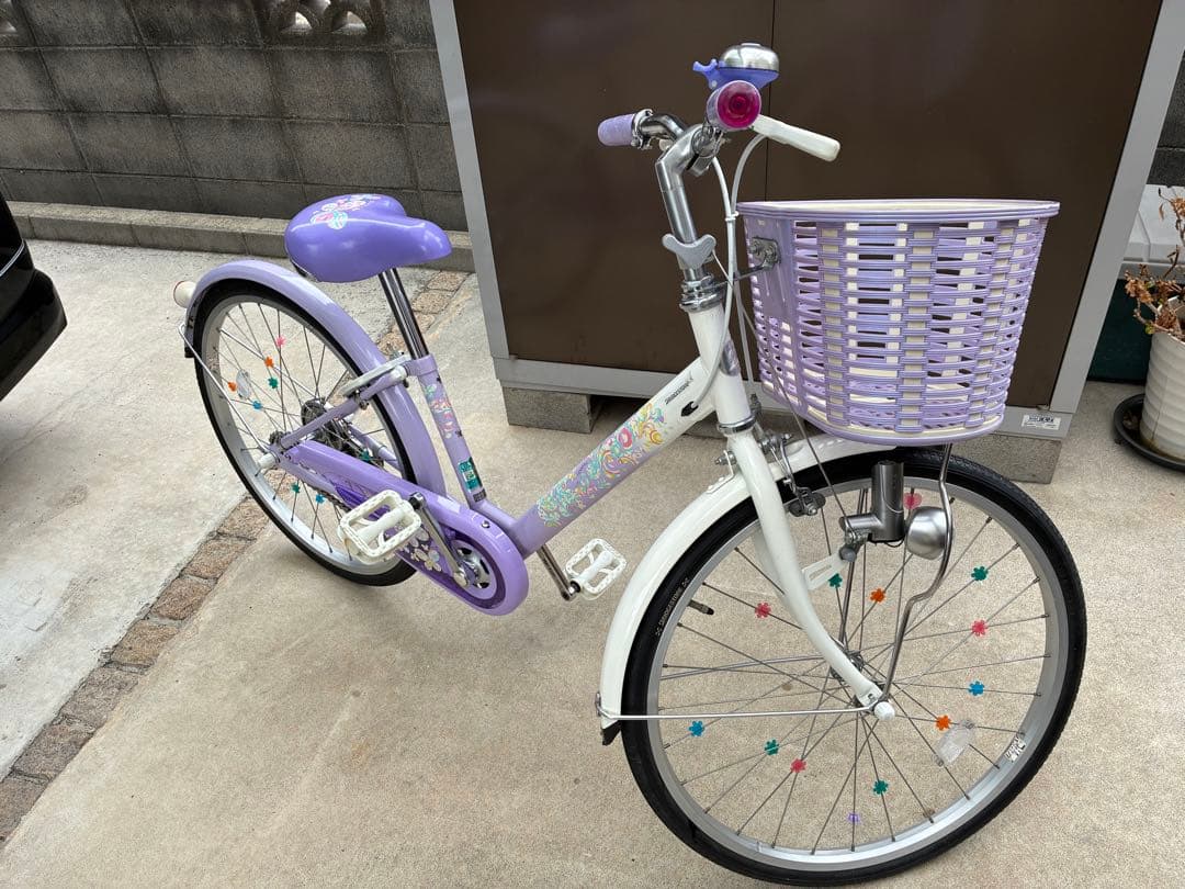 ブリヂストン Eco Pal エコパル 22インチ 子供用自転車