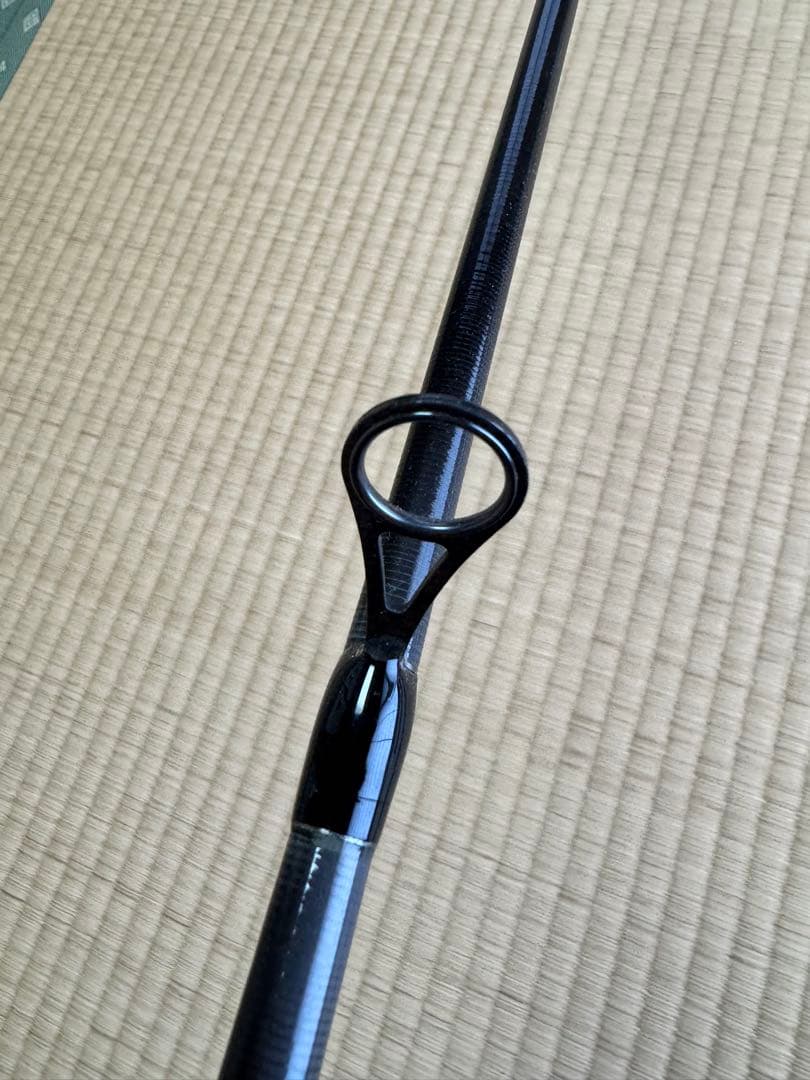 Daiwa ラブラックス AGS 96M シーバスロッド
