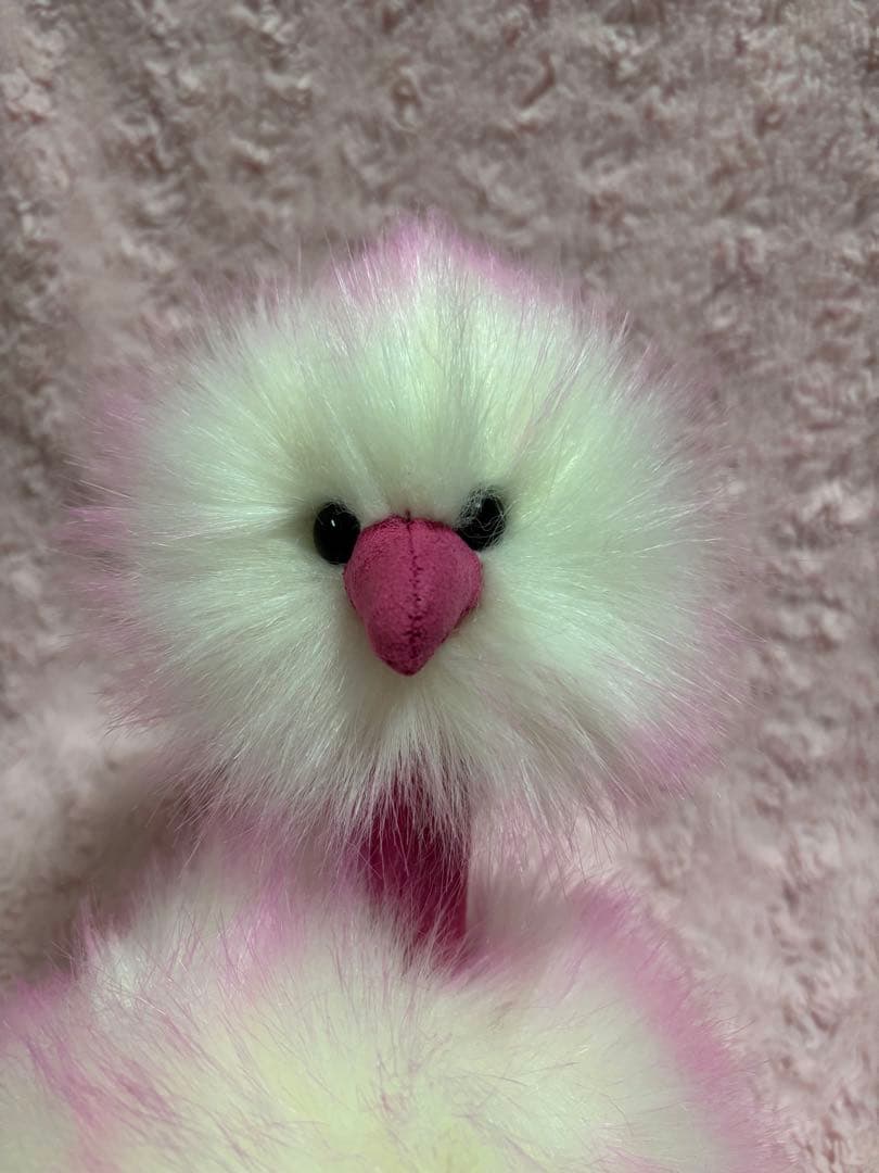 タグ付 ジェリーキャット Pom Pom Bird 鳥 Raspberry