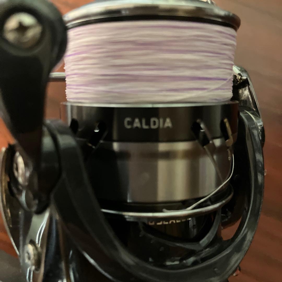 リール 18 CALDIA LT2000S