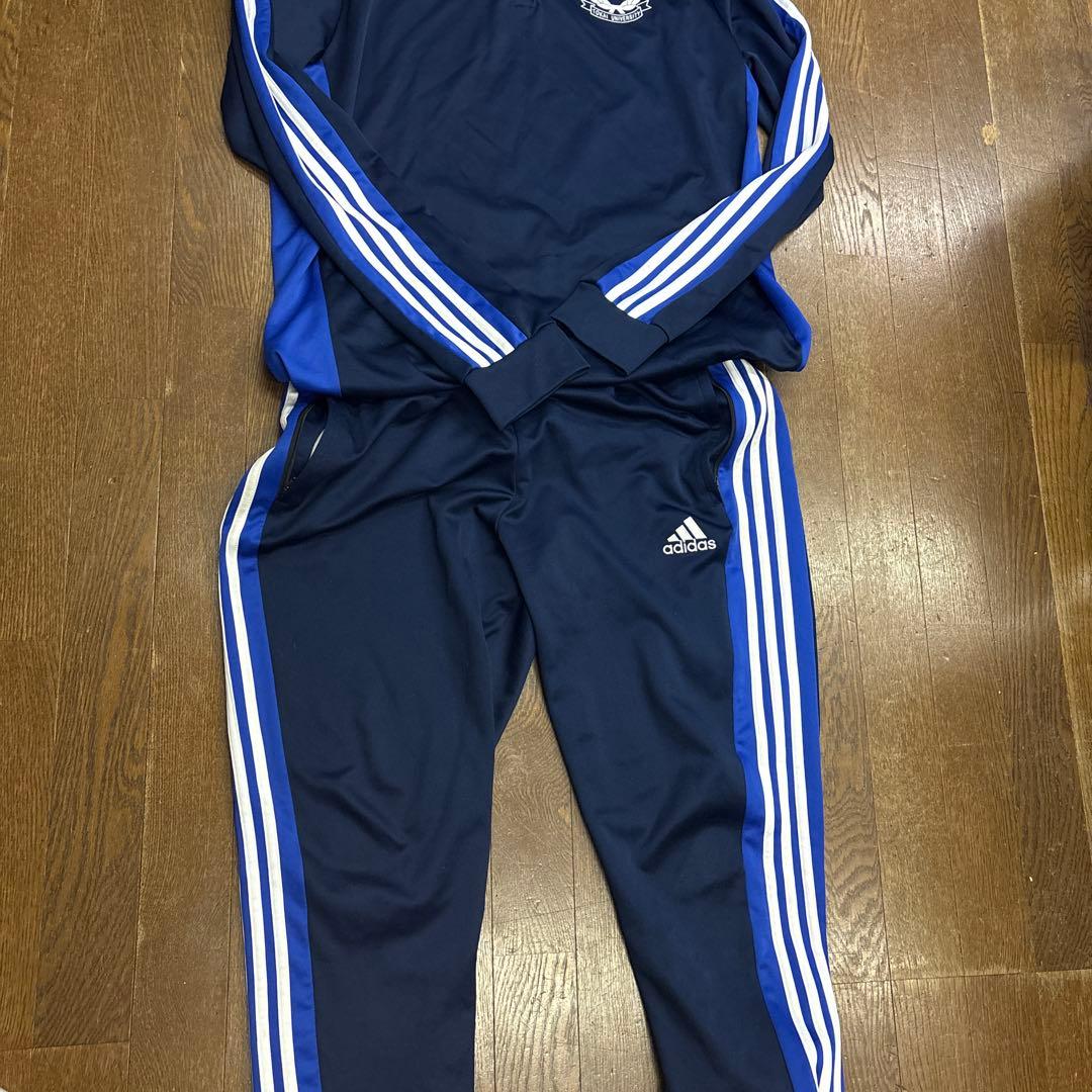 東海大学ラグビー部　adidas トレーニングウェア