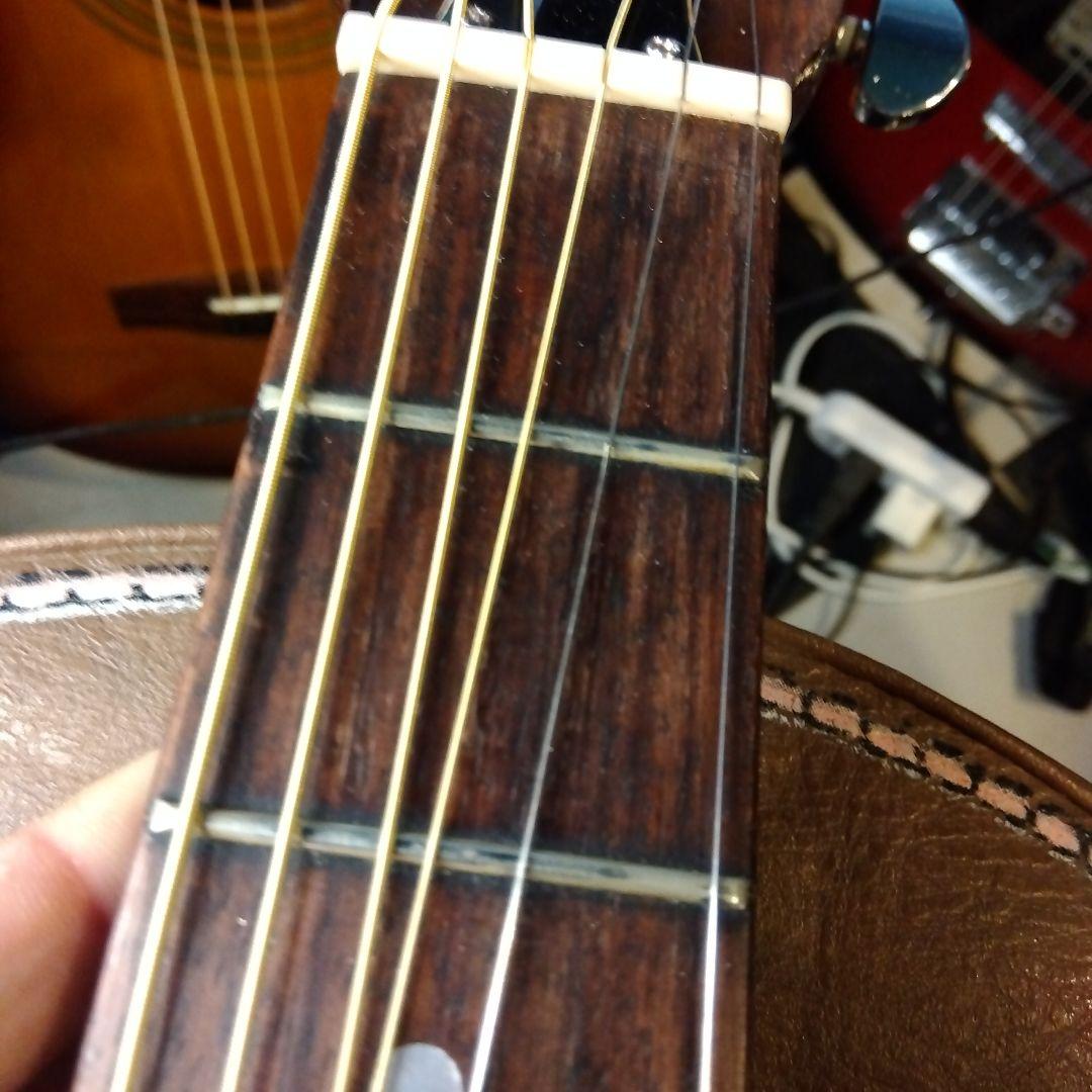 Greco、アコースティックギター！