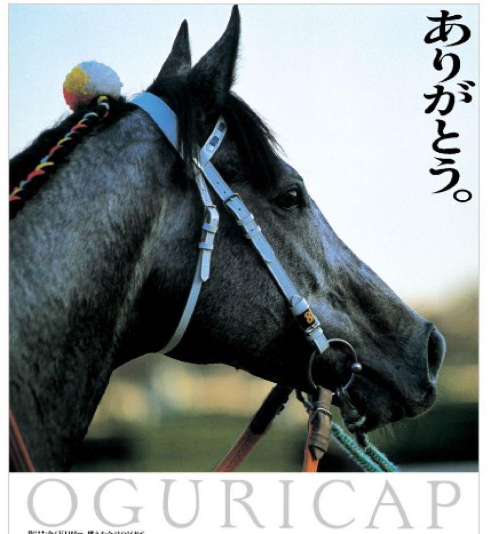 【希少】オグリキャップ 有馬記念優勝記念ぬいぐるみ 特大