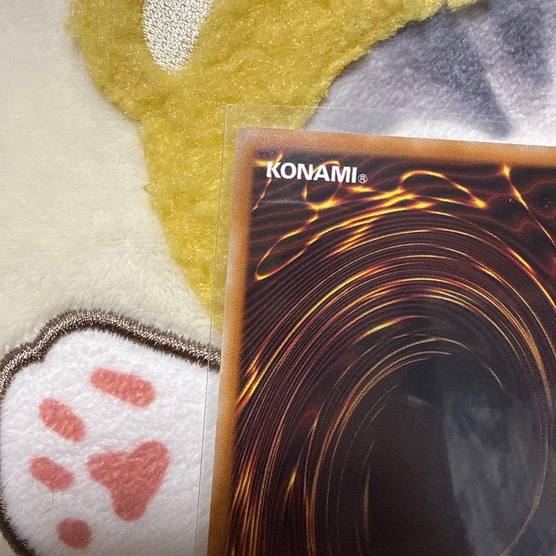 大輪の霊使い プリズマ