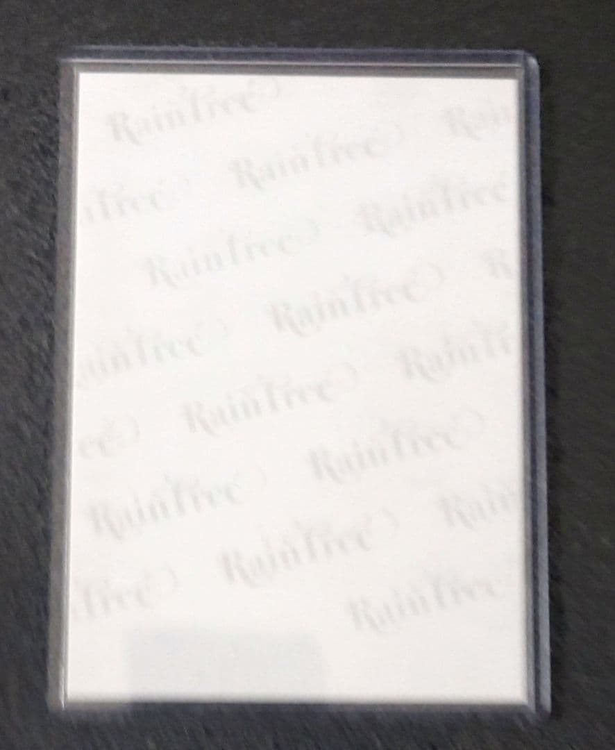 綾瀬ことり 直筆生写真 RainTree