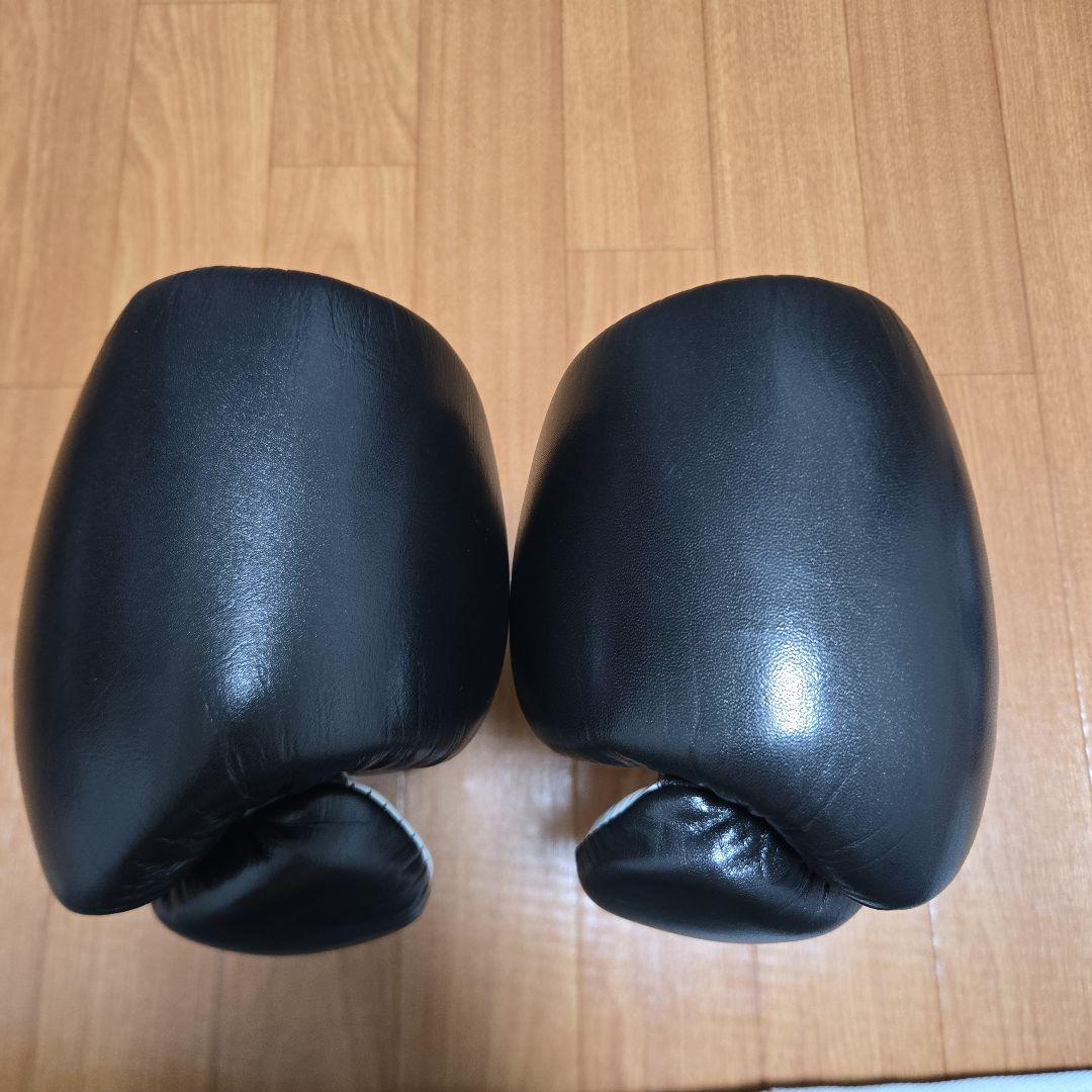 CLETOREYESPROFESSIONAL　レイジェス　ボクシンググローブ