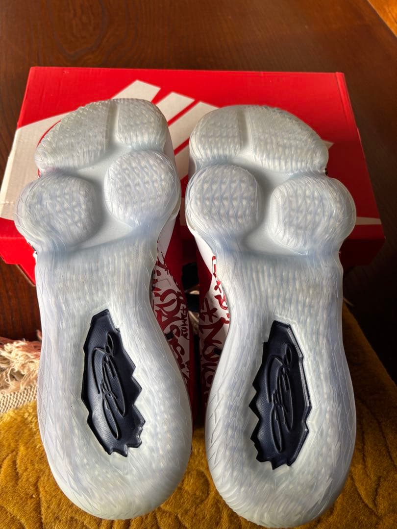 NIKE LEBRON 17 Fire Red size ナイキ　レブロン