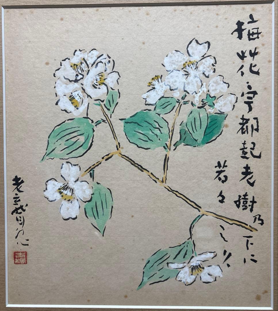 津田青楓色紙　梅花ウツギ(額装)