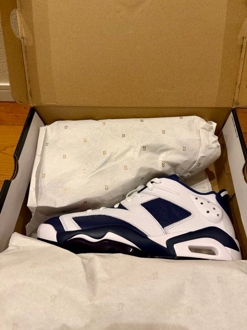 【新品】JORDAN RETRO 6 G 28.5cm