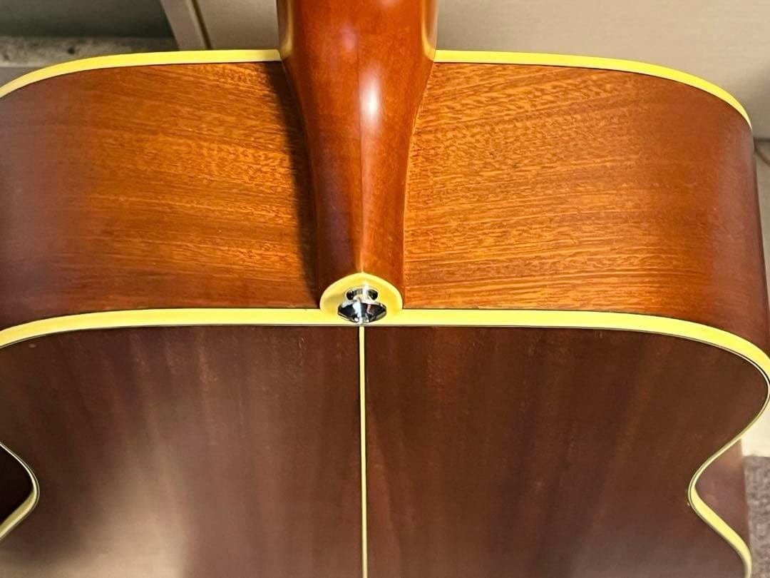 即発送 Ibanez Artwood AW250-LG