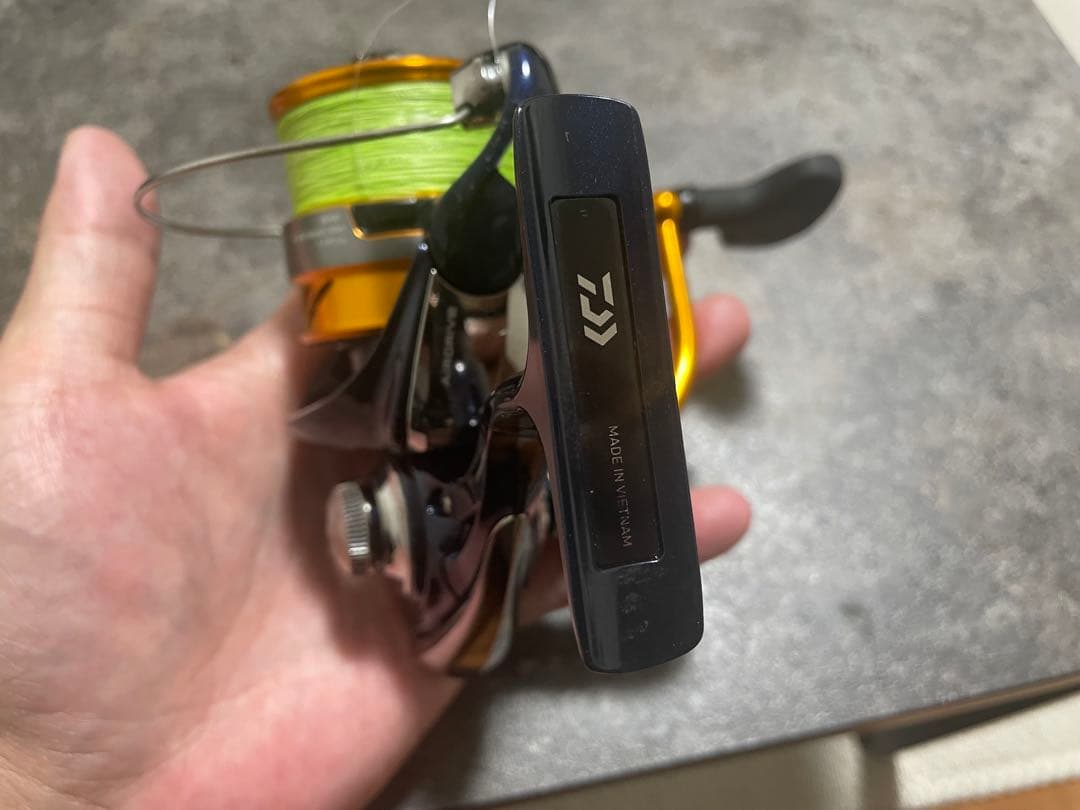 Daiwa 24レブロス　LT4000-CXH PEライン付