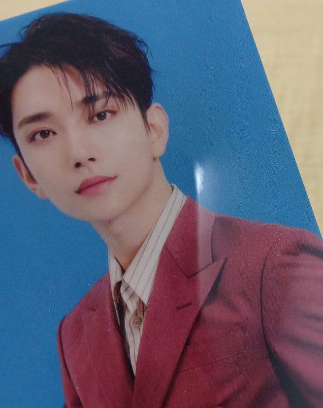 ❶ SEVENTEEN セブチ BE THE SUN トレカ 73枚 まとめ売り