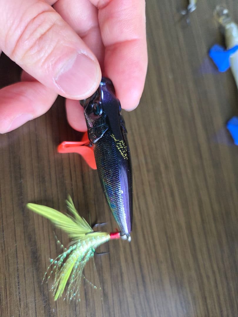 バス釣り用ルアーまとめ売り（メガバスなど約50点）