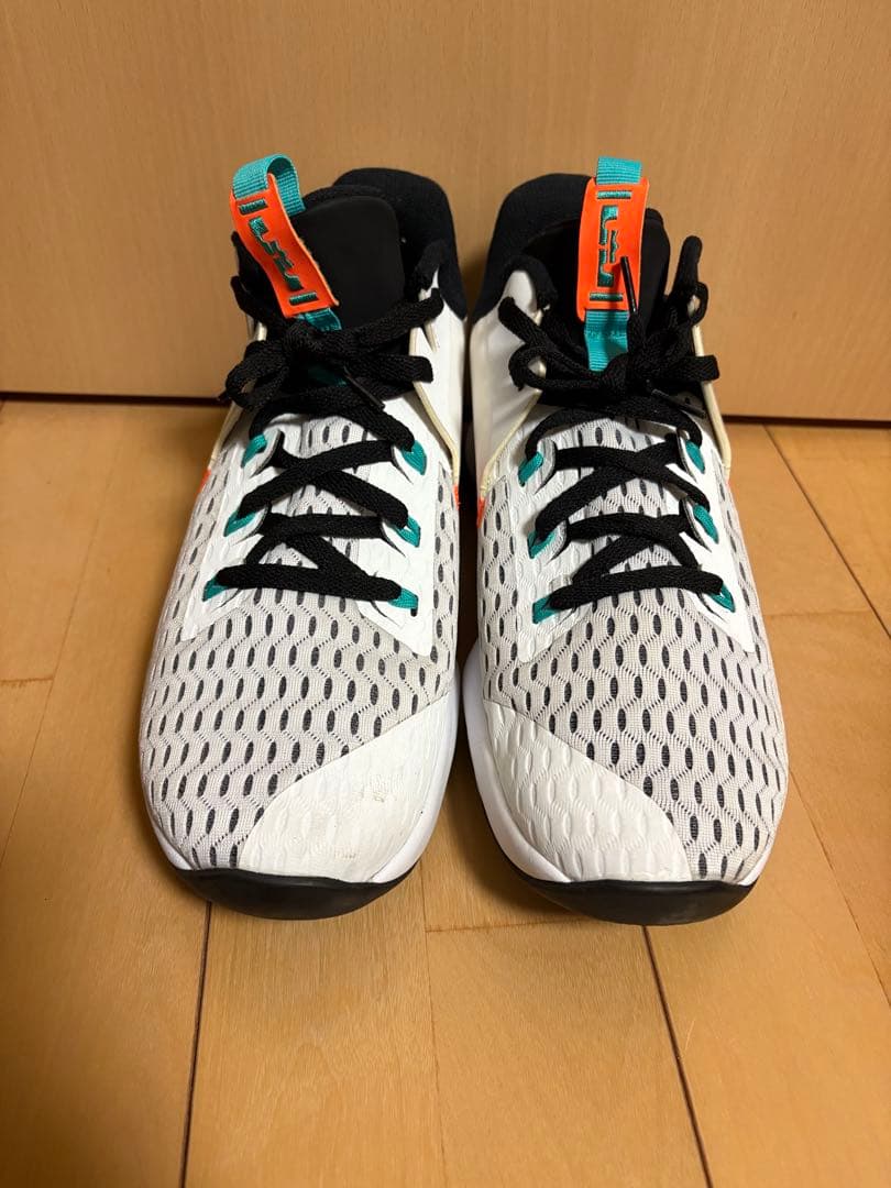 NIKE ナイキLEBRON WITNESS V 29cm バスケットボール