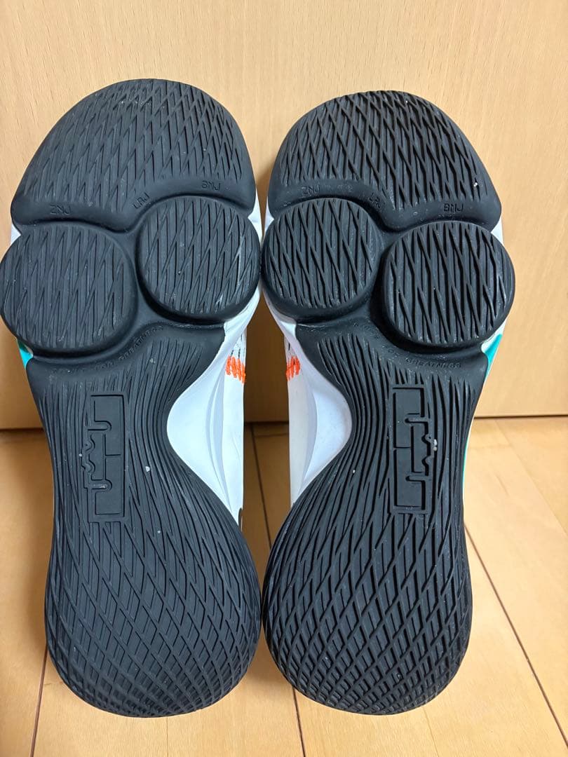 NIKE ナイキLEBRON WITNESS V 29cm バスケットボール