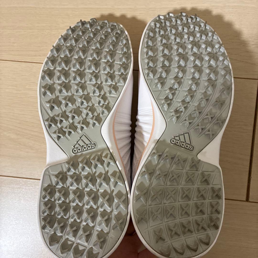 【adidas golf】レディースゴルフシューズ