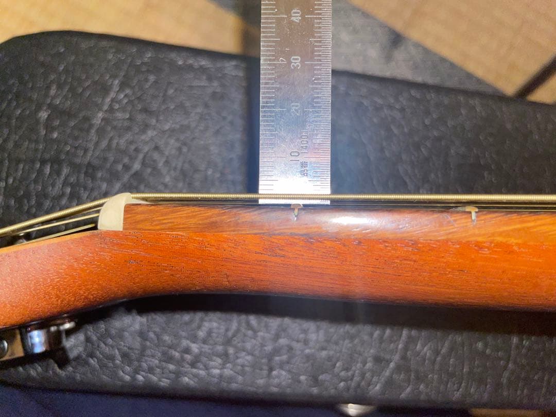 ギター Simon & Patrick S&P 6 Mahogany Spruce