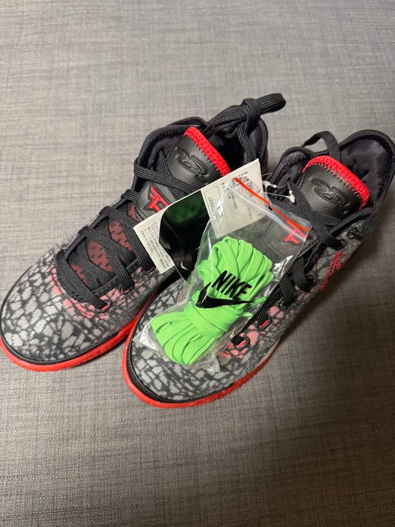 シューズ(男性用) 24.5cm NIKE ZOOM LEBRON NXXT GEN EP