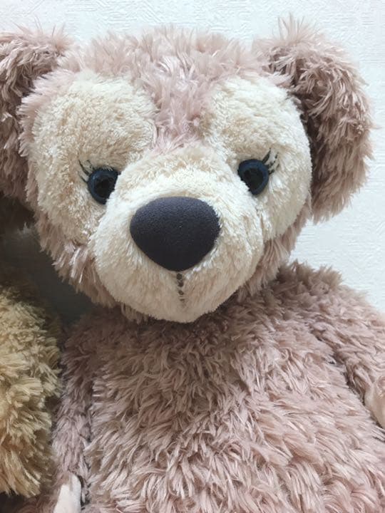 ★セット売り★ダッフィー シェリーメイ ぬいぐるみ