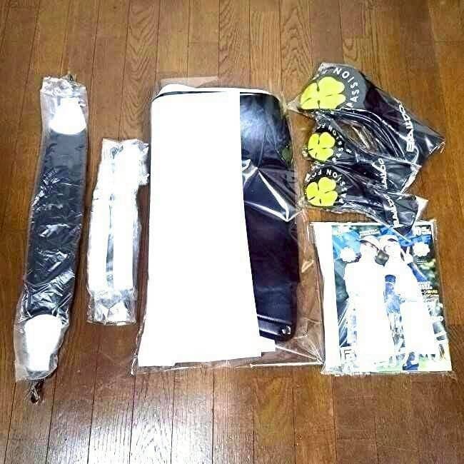 BALDO バルド キャディバック 限定 高級 正規品 送料無料