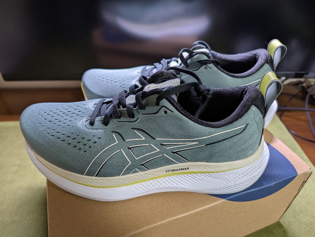 スパイク・シューズ ASICS GLIDERIDE MAX 25.0 wide