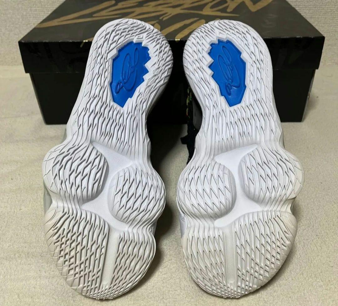 NIKE LeBron 17 JAMES GANG ブラック/マルチカラー