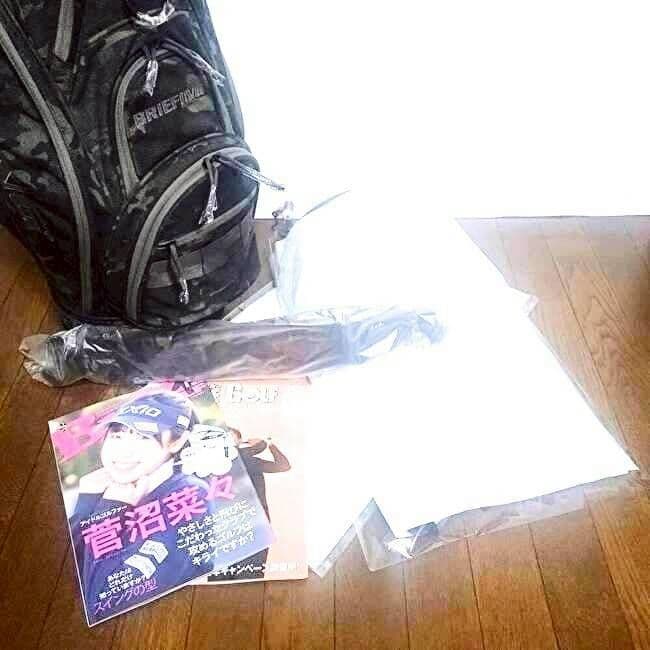 BRIEFING ブリーフィングキャディバック 限定 高級 正規品 15分割