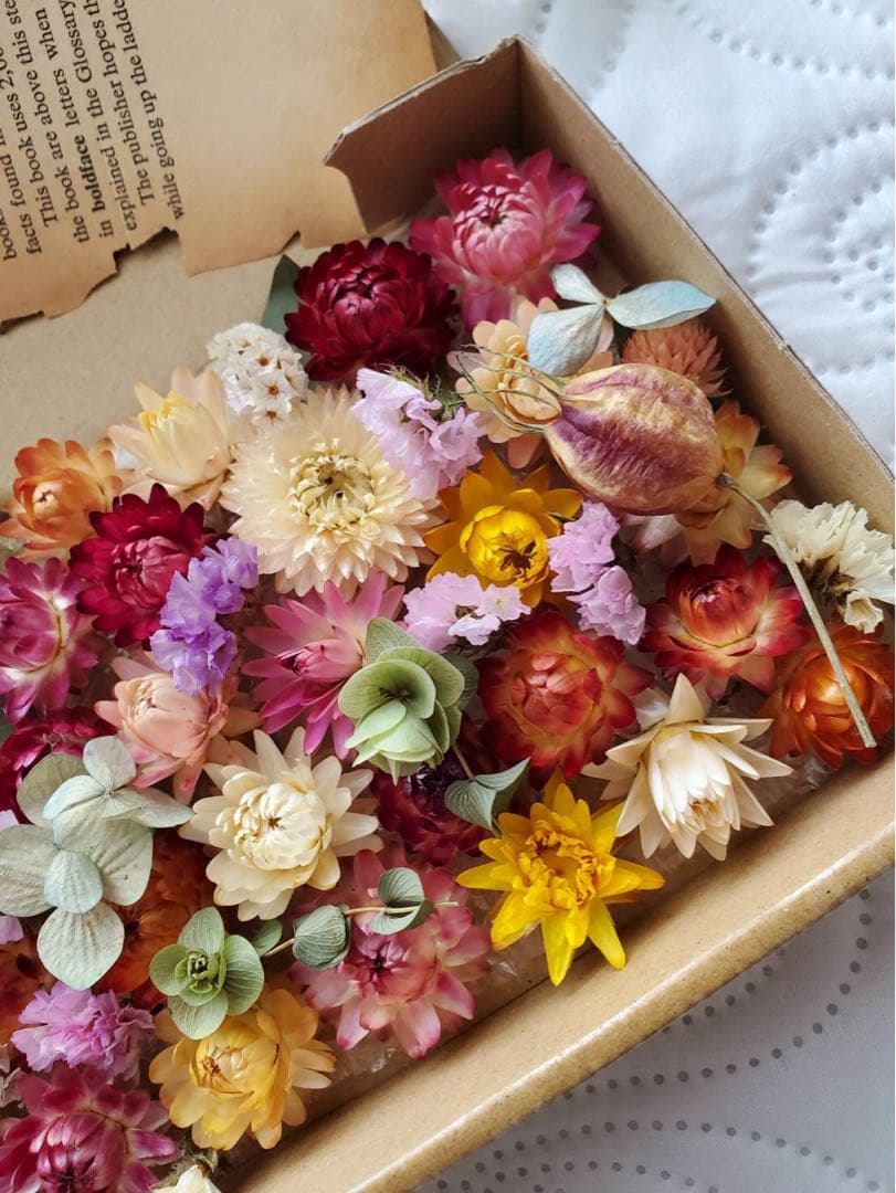 ドライフラワー花材セット。:°ஐ..♡*ヘリクリサム♡♡