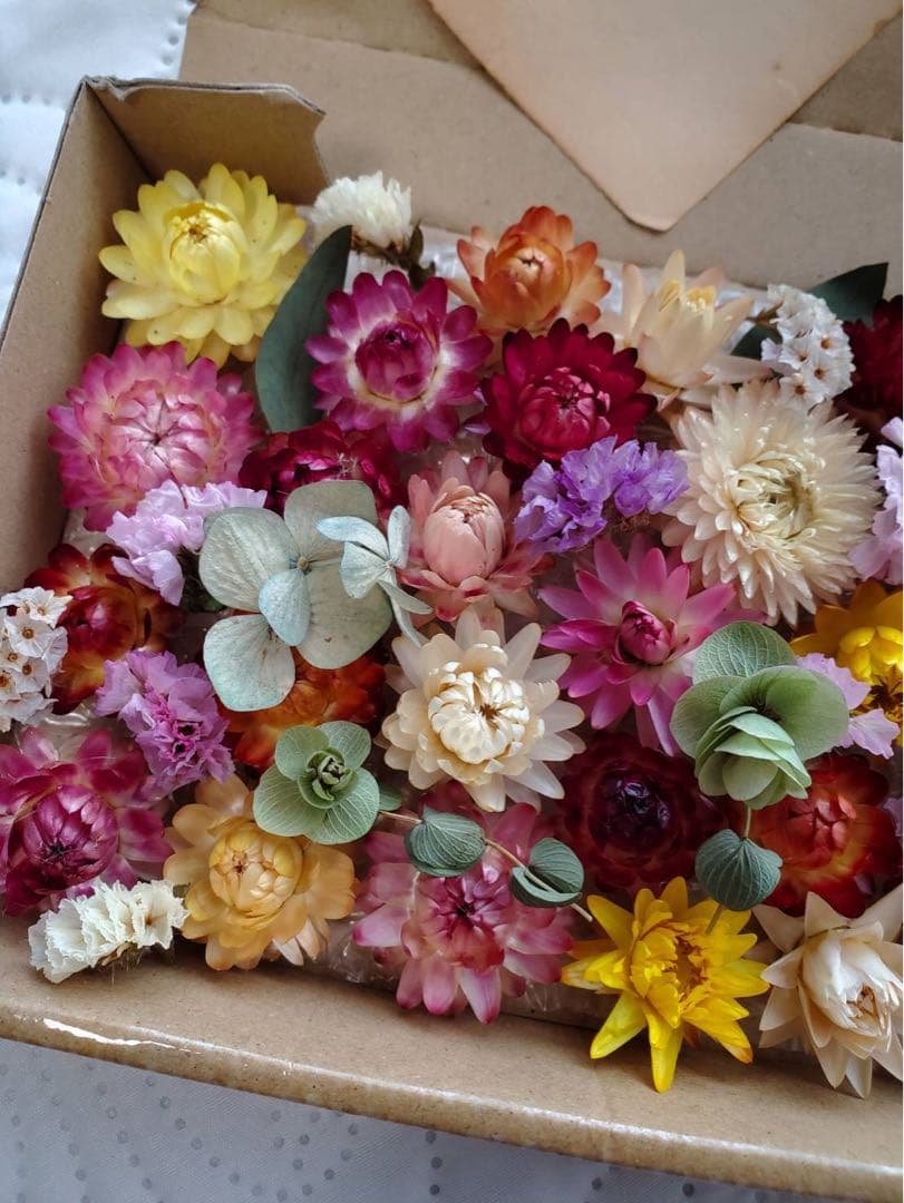 ドライフラワー花材セット。:°ஐ..♡*ヘリクリサム♡♡