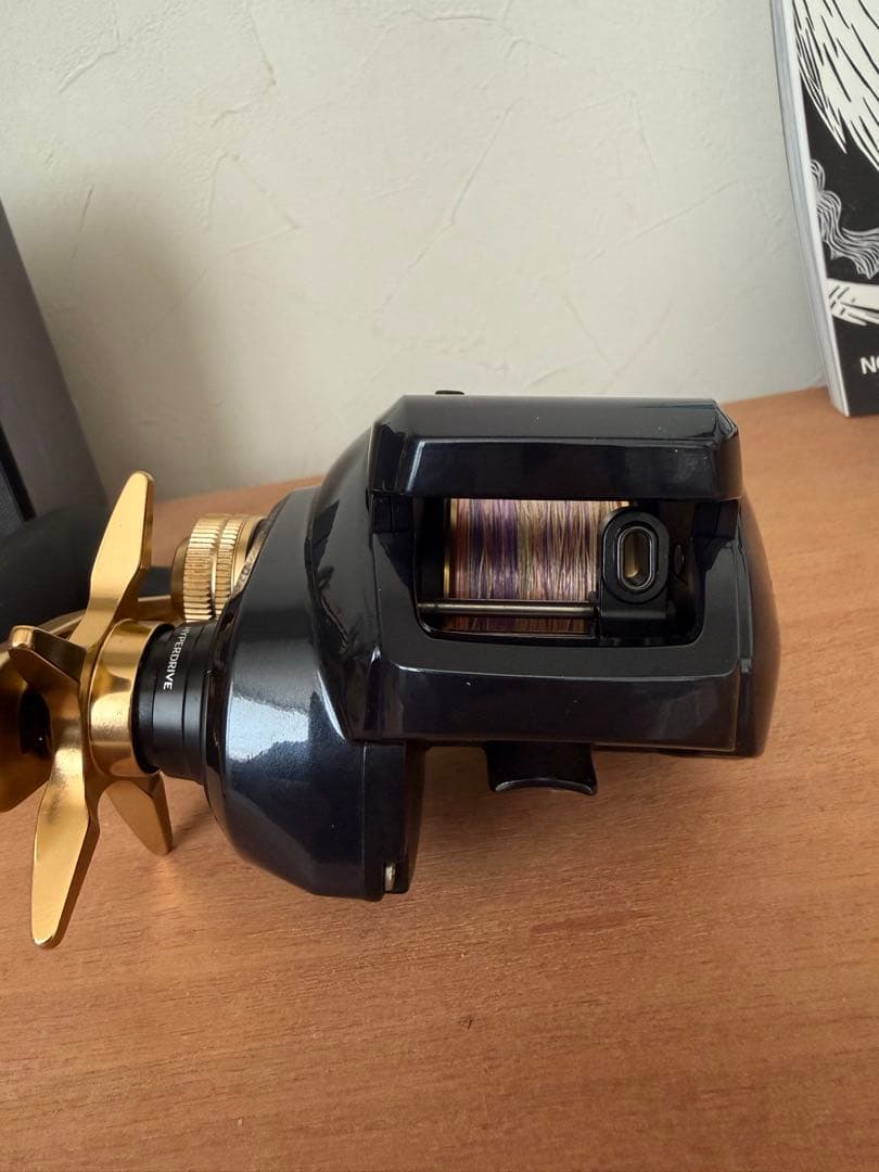 リール Daiwa TIERRA LJ IC300H