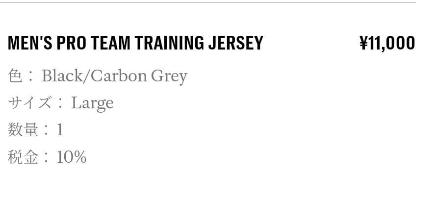 Rapha PRO TEAM TRAINING JERSEY　Ｌsize