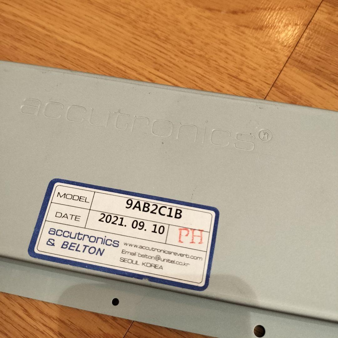 BENIDUB SPRING AMP II スプリングリバーブ タンク付　DUB